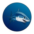 Mako shark. Swimming shark in a blue circle. Animal illustration Logotype for diving business or underwater aquarium center